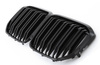 БЪБРЕЧНА РЕШЕТКА BMW X7 G07 ДВОЙНО ЛЪСКАВО ЧЕРНО X6M OPT